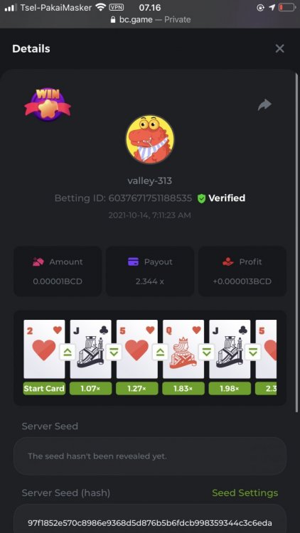 BC.Game Crypto Casino Games & Casino Slot Games - Crypto Gambling.png